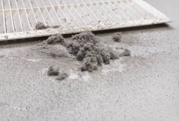 Best Affordable HVAC Duct Cleaning  in Denton, TX